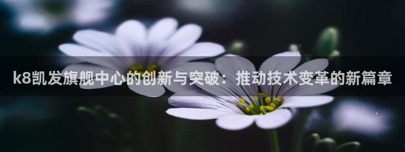 赢咖2体育：k8凯发旗舰中心的创新与突破：推动技术变革的新篇章