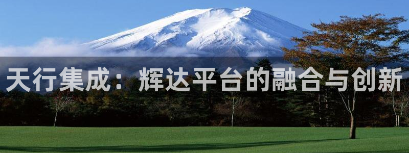 赢咖体育注册登录入口：天行集成：辉达平台的融合与创新