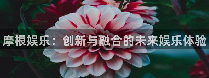 赢咖3官网登录：摩根娱乐：创新与融合的未来娱乐体验