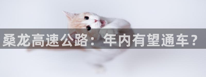 上海赢咖汽车电子有限公司：桑龙高速公路：年内有望通车？