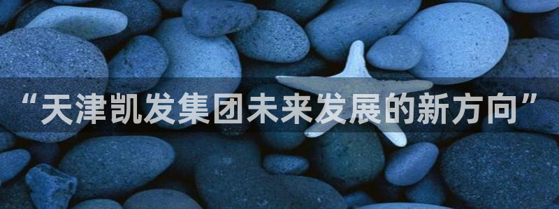 赢咖凯捷平台：“天津凯发集团未来发展的新方向”