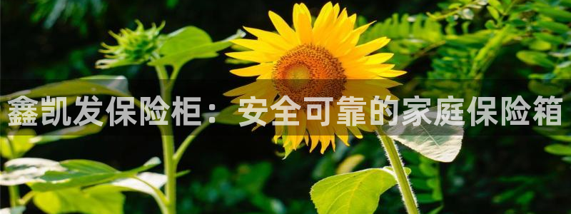 赢咖5：鑫凯发保险柜：安全可靠的家庭保险箱