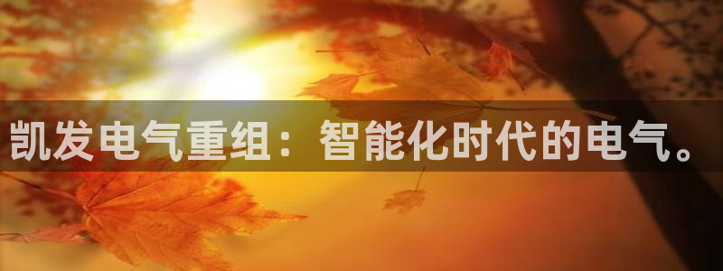 赢咖主管：凯发电气重组：智能化时代的电气。