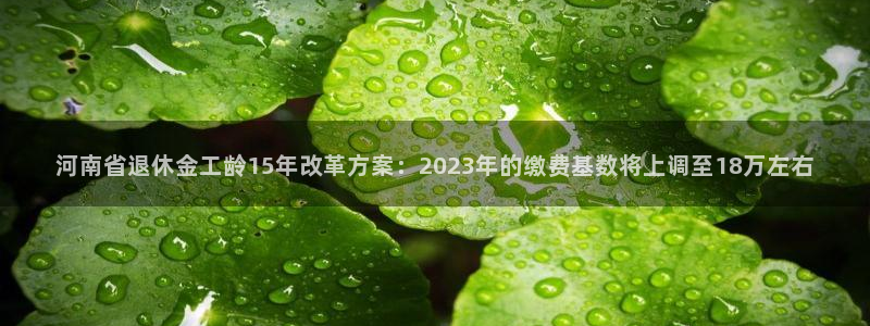 赢咖凯捷注册：河南省退休金工龄15年改革方案：2023年的缴费基数将上调至18万