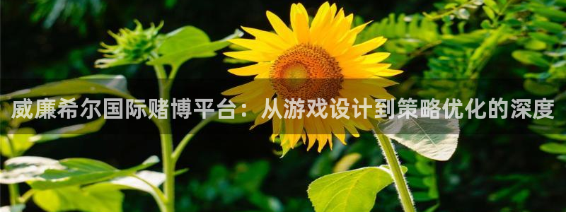 赢咖平台开户链接：威廉希尔国际赌博平台：从游戏设计到策略优化的深度