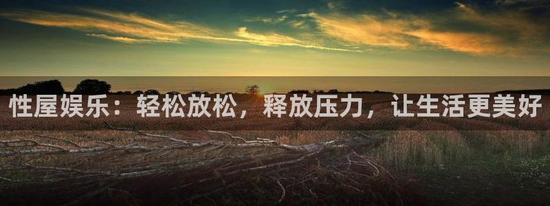 赢咖代理：性屋娱乐：轻松放松，释放压力，让生活更美好