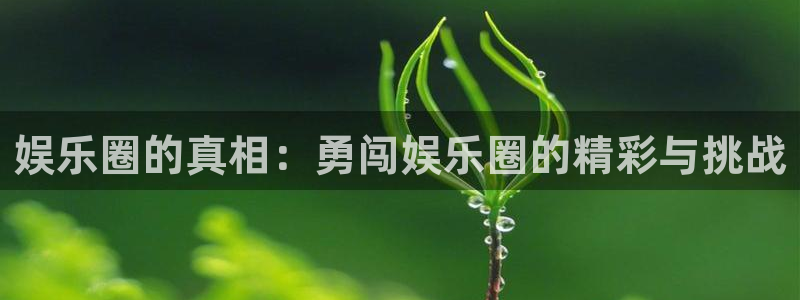 赢咖凯捷平台注册链接：娱乐圈的真相：勇闯娱乐圈的精彩与挑战