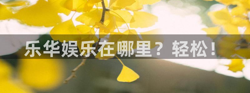 赢咖包怎么样：乐华娱乐在哪里？轻松！