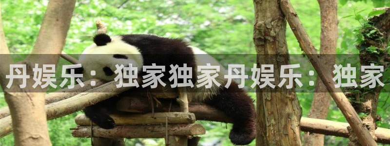 赢咖2体育：丹娱乐：独家独家丹娱乐：独家