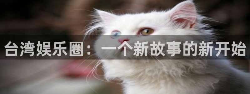赢咖零能源集团：台湾娱乐圈：一个新故事的新开始