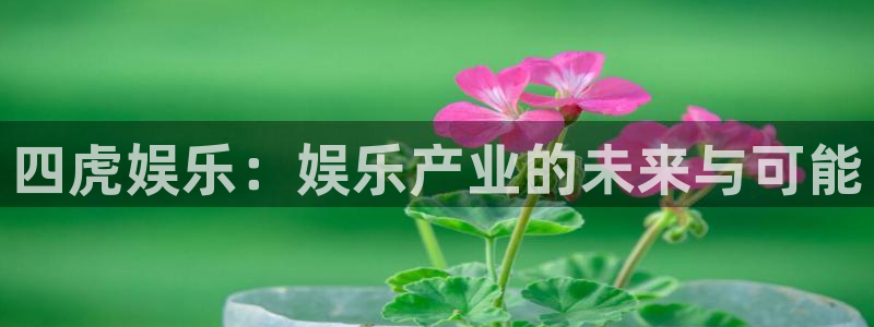 赢咖体育在线注册：四虎娱乐：娱乐产业的未来与可能