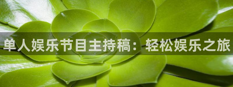 赢咖体育2：单人娱乐节目主持稿：轻松娱乐之旅
