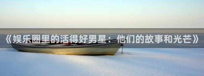 赢咖代理注册官网入口：《娱乐圈里的活得好男星：他们的故事和光芒》