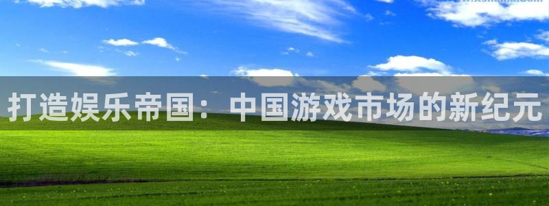 赢咖体育注册平台：打造娱乐帝国：中国游戏市场的新纪元