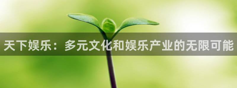 赢咖：天下娱乐：多元文化和娱乐产业的无限可能