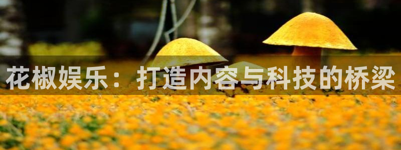 赢咖体育凯捷登陆