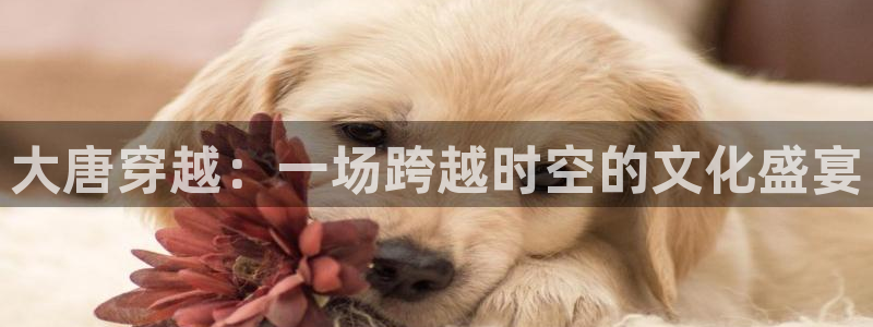 赢咖体育平台总代理