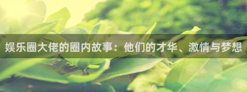 赢咖现在优惠多少