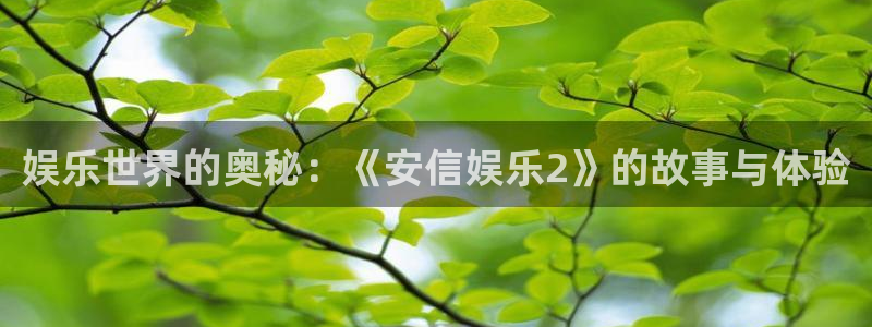 赢咖体育官网注册：娱乐世界的奥秘：《安信娱乐2》的故事与体验