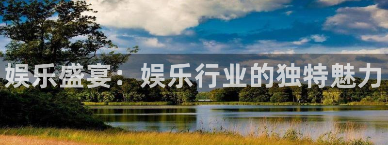 赢咖2登录：娱乐盛宴：娱乐行业的独特魅力