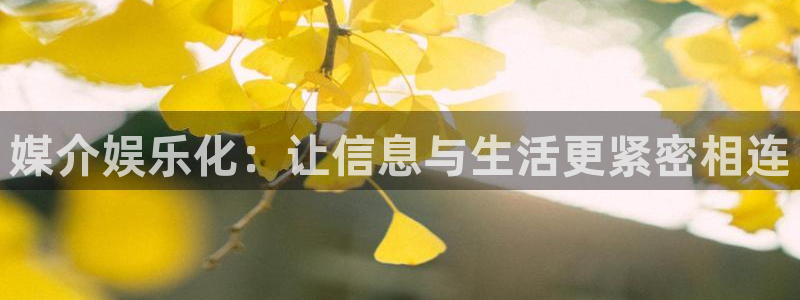 赢咖体育代理申请流程：媒介娱乐化：让信息与生活更紧密相连