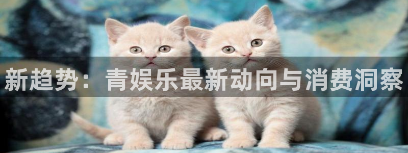 赢咖4平台：新趋势：青娱乐最新动向与消费洞察