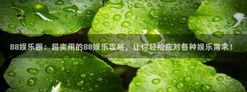 赢咖3：88娱乐圈：超实用的88娱乐攻略，让你轻松应对各种娱乐需求！