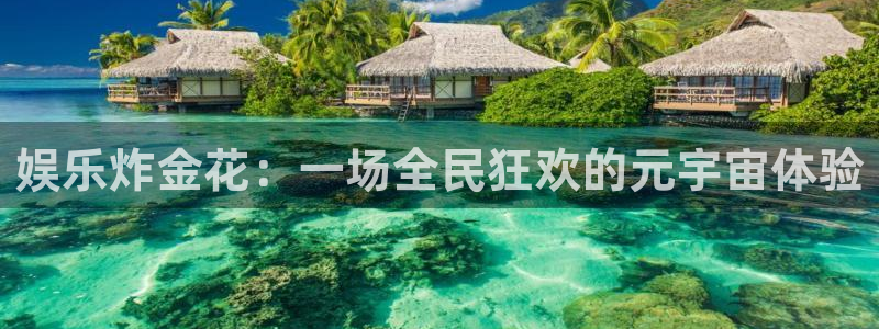 赢咖体育老板是谁：娱乐炸金花：一场全民狂欢的元宇宙体验