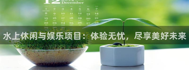 赢咖登陆：水上休闲与娱乐项目：体验无忧，尽享美好未来