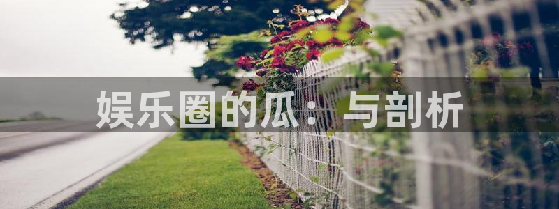 福建赢咖机电股份公司：娱乐圈的瓜：与剖析