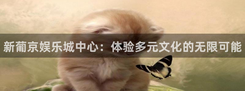 赢咖体育老板是谁：新葡京娱乐城中心：体验多元文化的无限可能