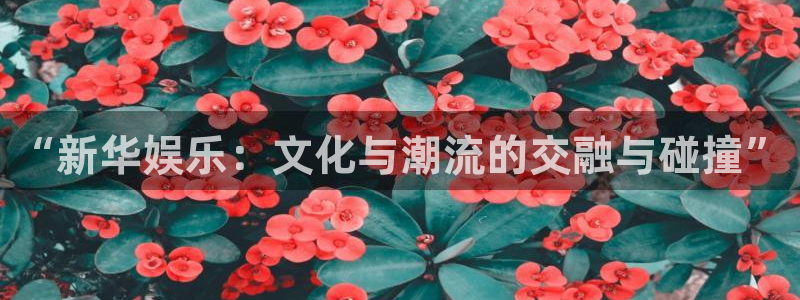 赢咖体育老板是谁：“新华娱乐：文化与潮流的交融与碰撞”