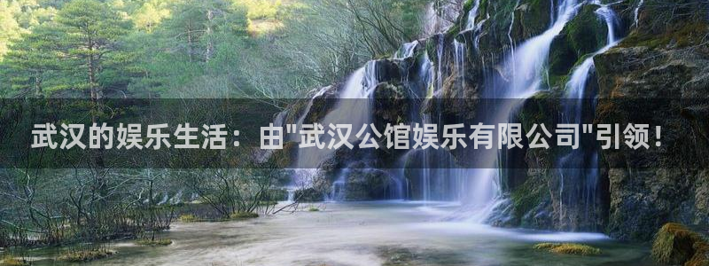 上海赢咖汽车电子有限公司：武汉的娱乐生活：由\