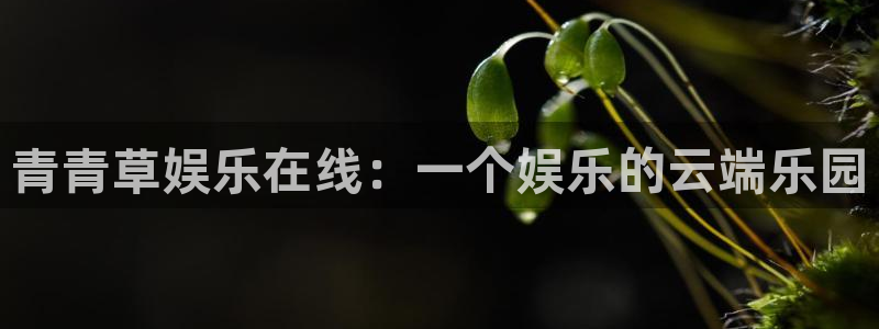 上海赢咖汽车电子有限公司：青青草娱乐在线：一个娱乐的云端乐园