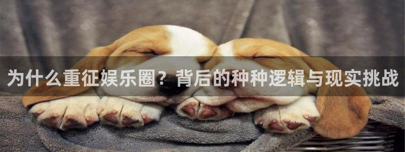 赢咖体育老板是谁：为什么重征娱乐圈？背后的种种逻辑与现实挑战