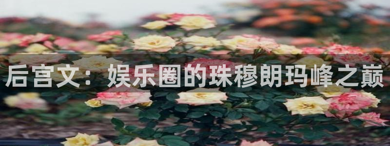赢咖体育注册平台：后宫文：娱乐圈的珠穆朗玛峰之巅