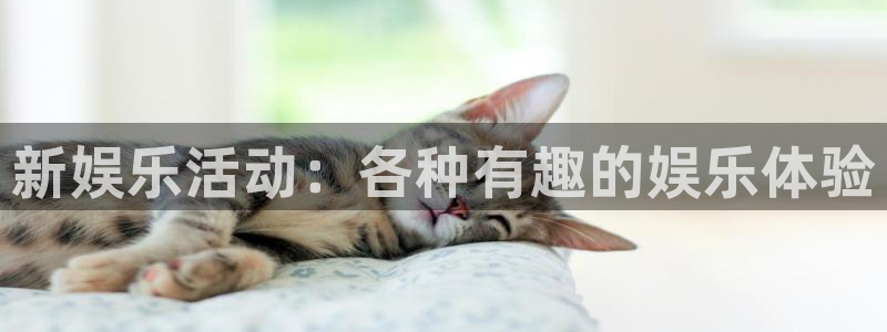 赢咖4：新娱乐活动：各种有趣的娱乐体验