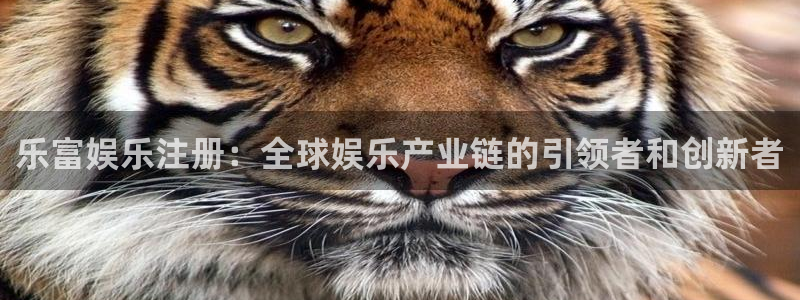 赢咖平台：乐富娱乐注册：全球娱乐产业链的引领者和创新者