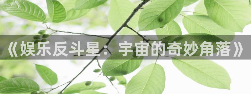 赢咖体育官网入口登录：《娱乐反斗星：宇宙的奇妙角落》