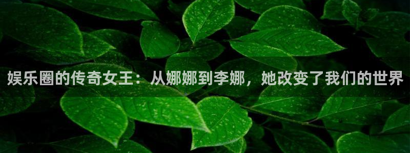 赢咖2体育