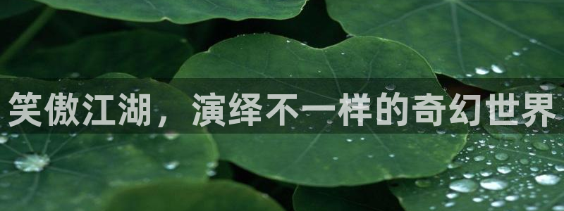 赢咖2体育登录入口：笑傲江湖，演绎不一样的奇幻世界